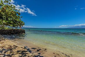 Paki Maui 411 1 Bedroom Condo