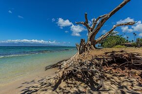 Paki Maui 411 1 Bedroom Condo