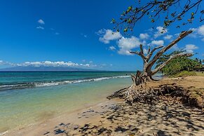 Paki Maui 411 1 Bedroom Condo