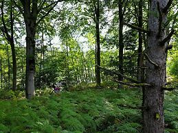 Lakehouse With Forest Views by Belvilla