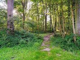 Belvilla Embark on a Forest Adventure