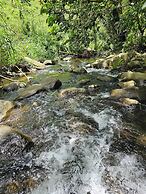 Wild Lotus Rainforest & River Glamping