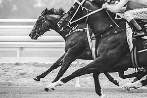 SureStay by Best Western New Inn Richmond