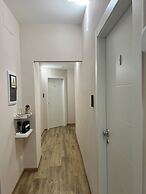 Raffaelli Suite