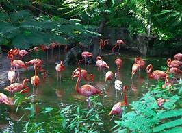 Luxury apartment on the beach nassau