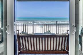Sand Dollar 306