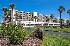 Sand Dollar 306