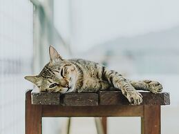 ritomaru rooms hakata hakozaki