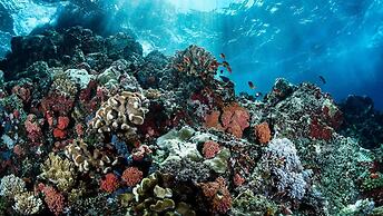 Spacious Apartment With Terrace and Rooftop Pool