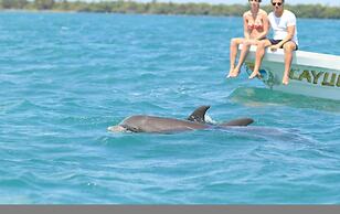 Spacious Apartment With Terrace and Rooftop Pool
