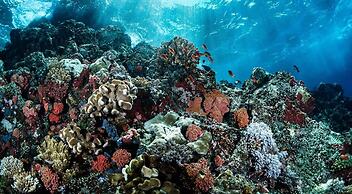 Super Spacious Apartment With Pool in Aldea Zama