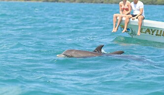 Super Spacious Apartment With Pool in Aldea Zama