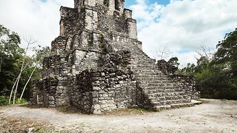 Beautiful Jungle Loft With Rooftop Pool and Gym