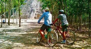 Beautiful Jungle Loft With Rooftop Pool and Gym
