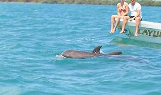 Beautiful Jungle Loft With Rooftop Pool and Gym