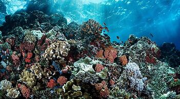 Beautiful Jungle Loft With Rooftop Pool and Gym