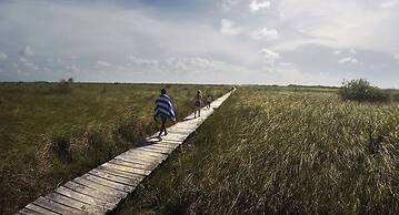 Beautiful Jungle Loft With Rooftop Pool and Gym