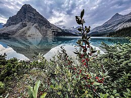 The Lodge at Bow Lake