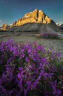 The Lodge at Bow Lake