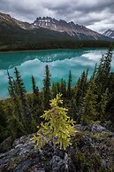 The Lodge at Bow Lake