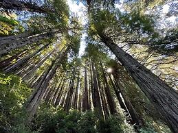 Oceanview Cabin 20 Private Jacuzzi Large Deck