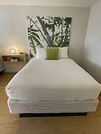 Newly Renovated Room in Cozy Hotel Near Disney