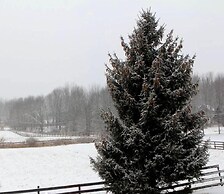 Equestrian House Suites