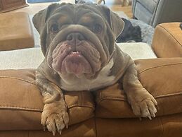 Rural Cottage-full Kitchen-pets Ok-paddock