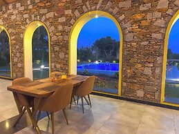 Jawai's Wildness Lodge