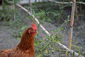 agriturismo la pergola