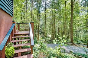 Tranquil North Georgia Cabin Near Vogel State Park