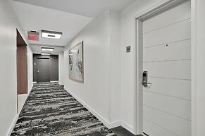 The Harmony - Ocean & Relaxation