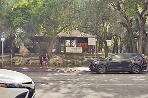 The Harmony - Ocean & Relaxation