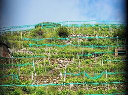 La Casa del Pastenello