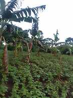 The Countryside Home