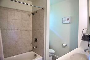 Cozy Home- Zoos Museums Fun Step From Your Door