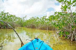 The Explorean Kohunlich