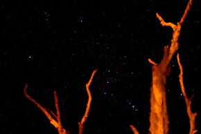 The Explorean Kohunlich