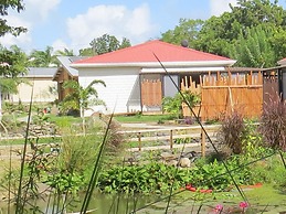 Ecolodge Barbuda - Natural Pool & Beach