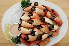 5 Beautiful 4 Bed 3 Bath Pool Home w Free Dock