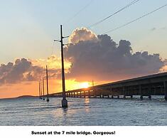 1 Beautiful 4 Bed 3 Bath Pool Home w Free Dock