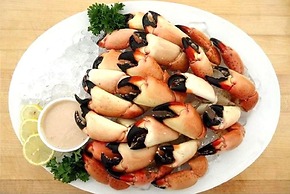 1 Beautiful 4 Bed 3 Bath Pool Home w Free Dock