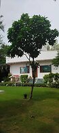 Purple Tree Villa Delhi