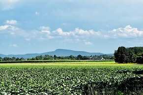 Amherst Country Oasis Perfect Location Umass