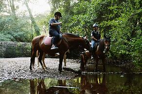 Bed and Breakfast Equitare Rural