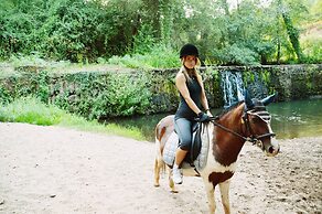 Bed and Breakfast Equitare Rural