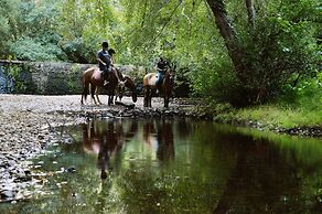 Bed and Breakfast Equitare Rural