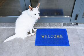 Bed and Breakfast Equitare Rural