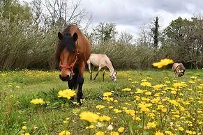 Bed and Breakfast Equitare Rural