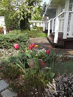 Hotel Dresden Domizil